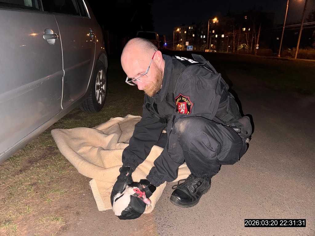 313278 2 408f566d 390a 4394 a1a7 eb97121921cc | WebJET CMS