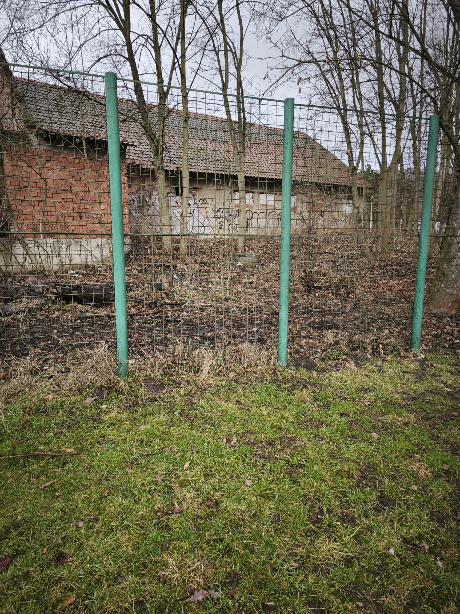 img 20260224 wa0003 | WebJET CMS