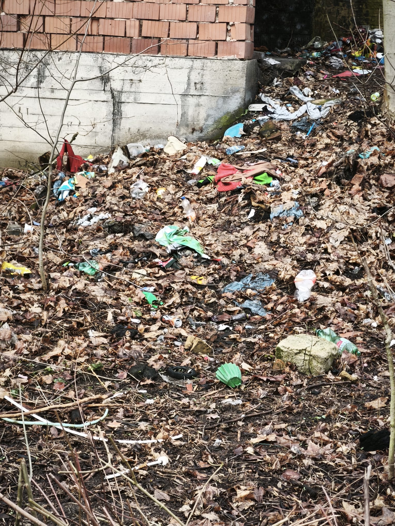 img 20260224 wa0005 | WebJET CMS